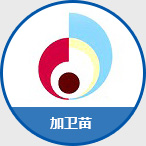 加卫苗
